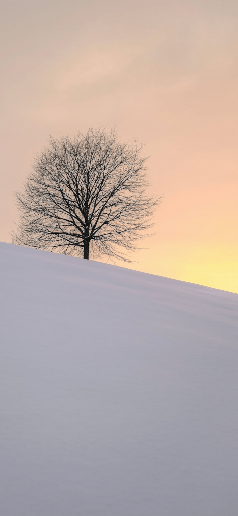 Tải Ngay 99+ Hình Nền iPhone 12 Siêu Đẹp Dành Cho Bạn