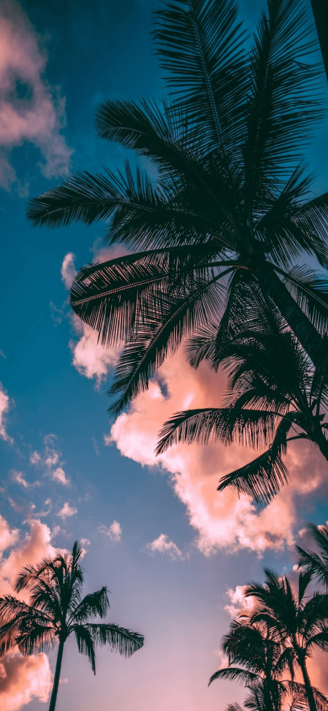 Tải Ngay 99+ Hình Nền iPhone 12 Siêu Đẹp Dành Cho Bạn