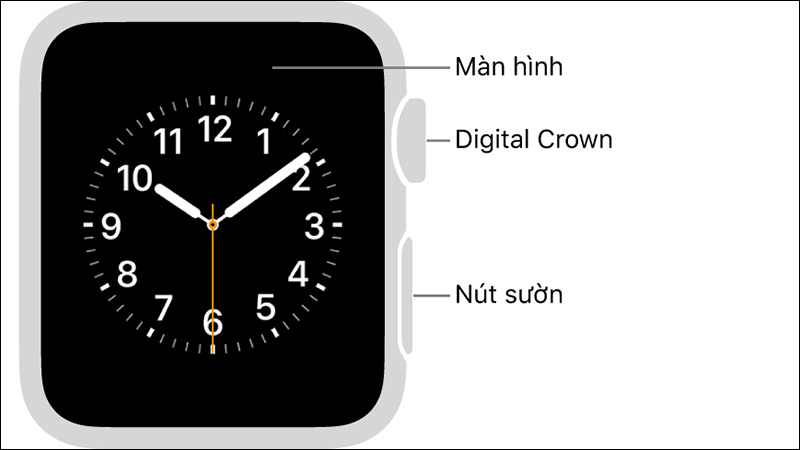 Cách tắt nguồn Apple Watch
