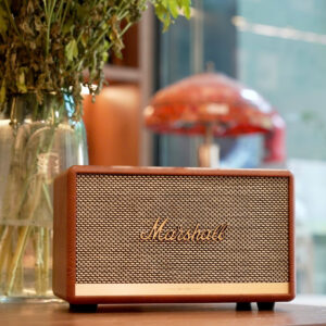 Loa Bluetooth Marshall Acton 2