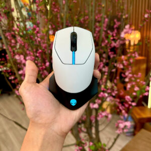 z6369063559992 2067889a2d339875a9555e16a7a0ca28 1